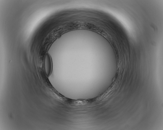 X0000115560239200911061154