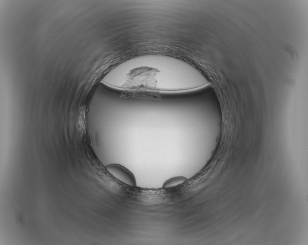 X0000115560240200911061154