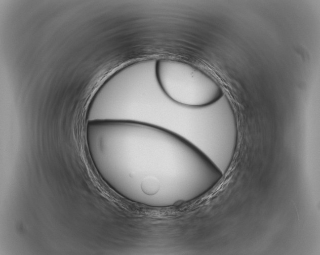 X0000115560241200911061153