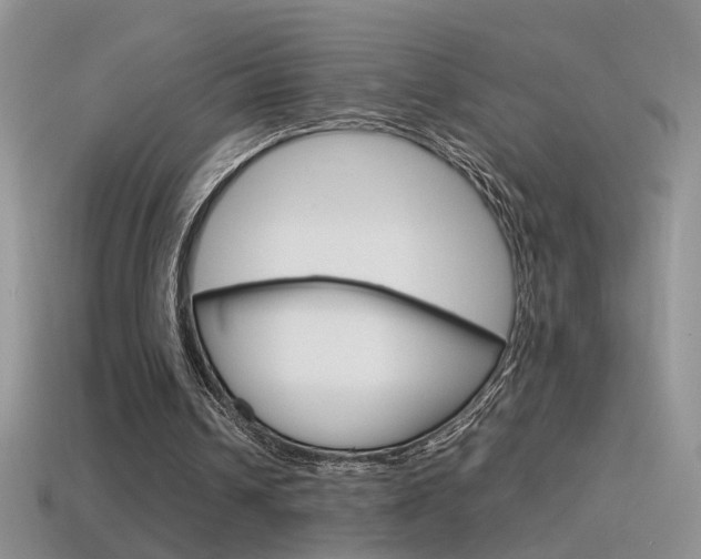 X0000115560242200911061153