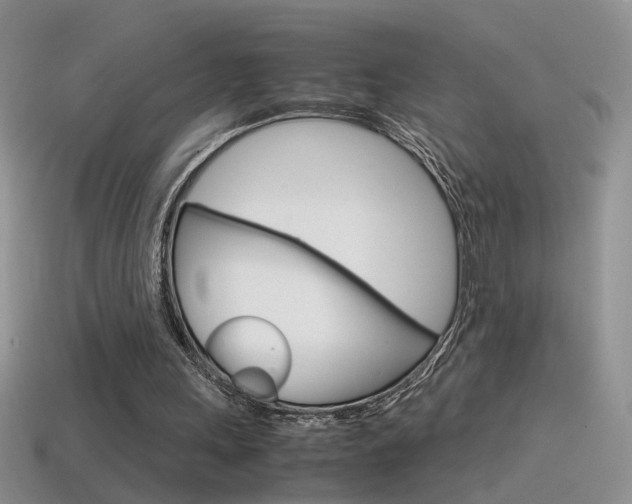 X0000115560243200911061153