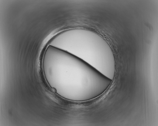X0000115560246200911061153
