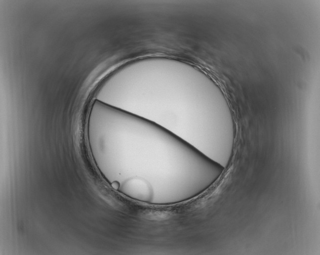 X0000115560247200911061153