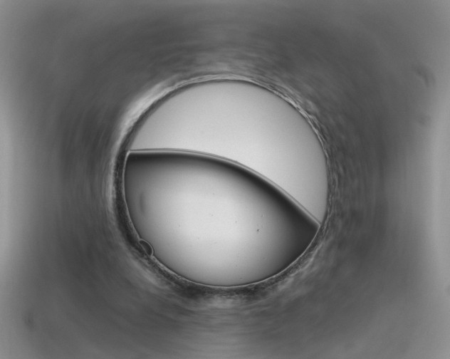 X0000115560248200911061153