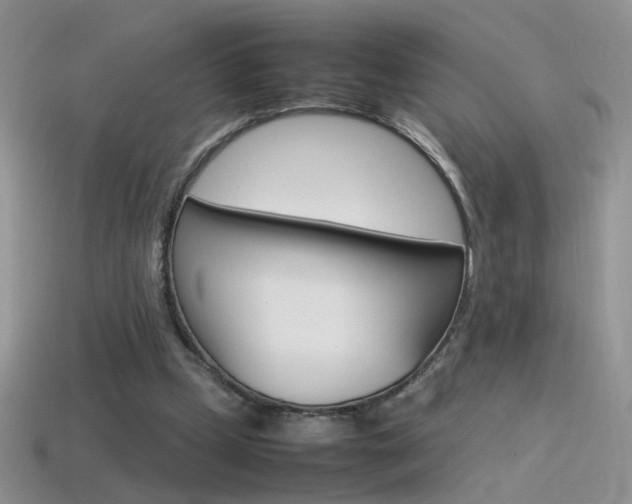 X0000115560249200911061153