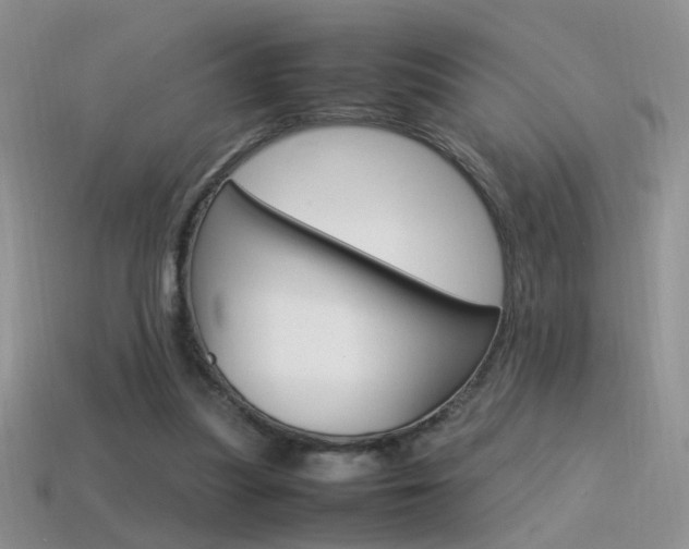 X0000115560251200911061153