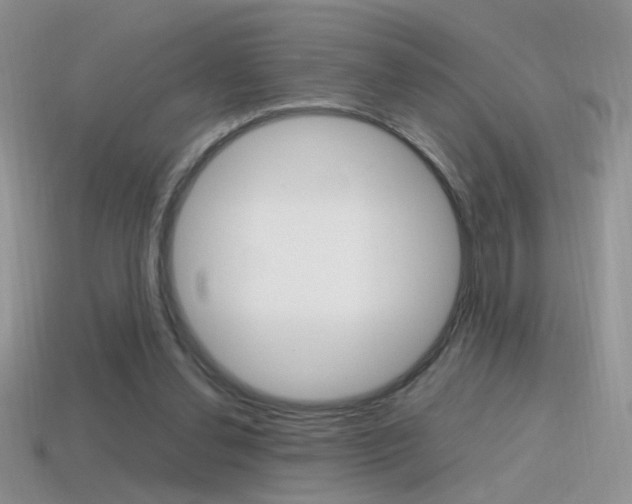 X0000115560252200911061153