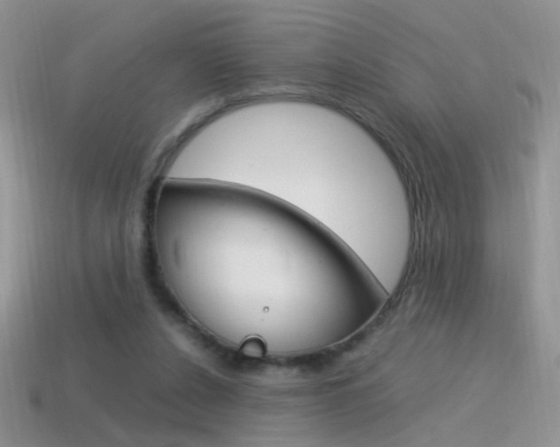 X0000115560256200911061153
