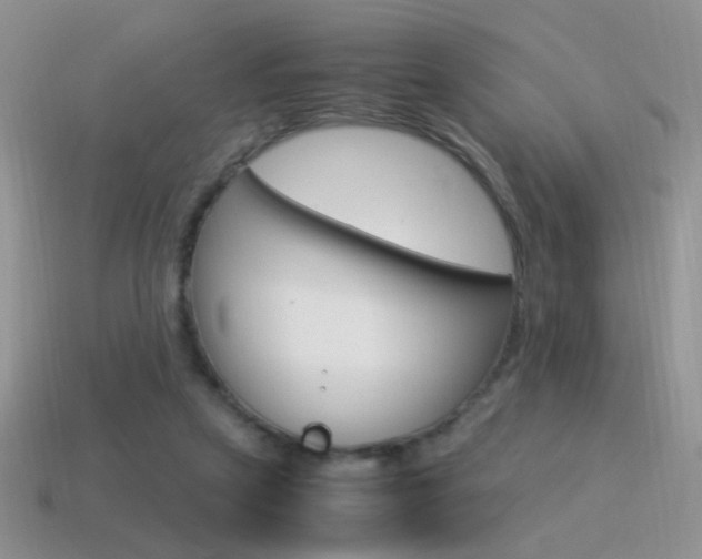 X0000115560257200911061153