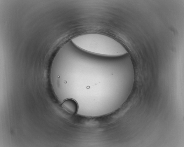 X0000115560258200911061154