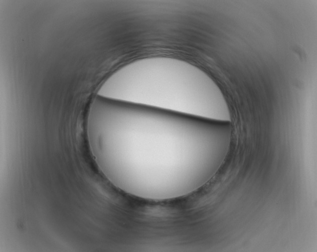 X0000115560259200911061154