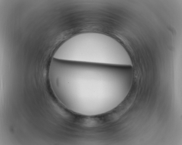 X0000115560261200911061154