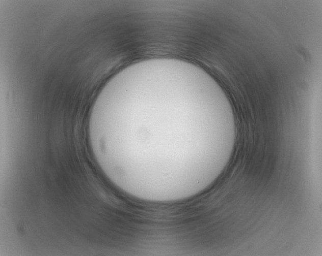 X0000115560264200911061154