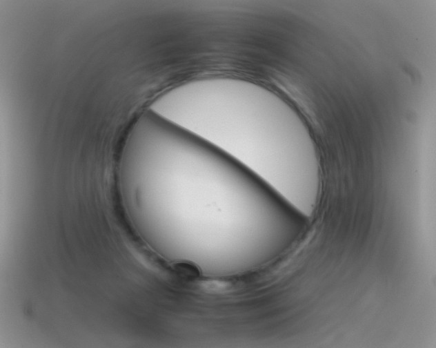 X0000115560265200911061154