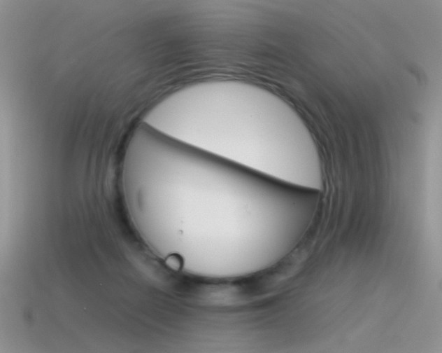 X0000115560266200911061154