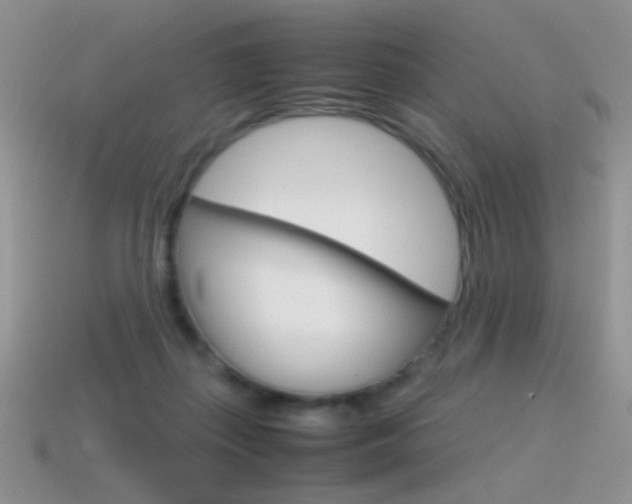 X0000115560267200911061154