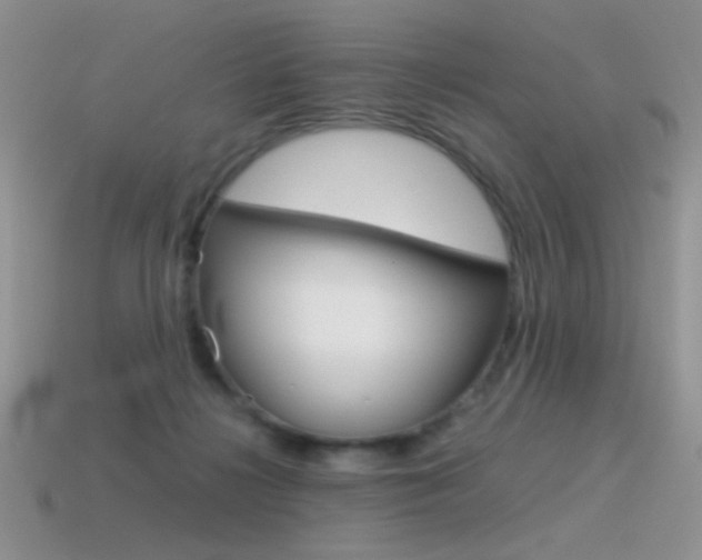 X0000115560268200911061154