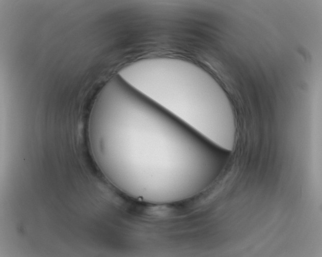 X0000115560269200911061154