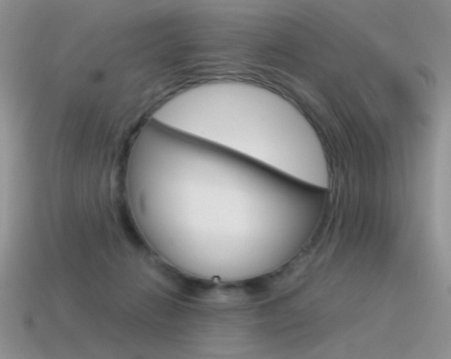 X0000115560270200911061154