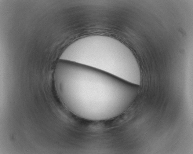 X0000115560271200911061154