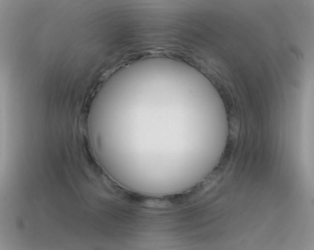 X0000115560272200911061154