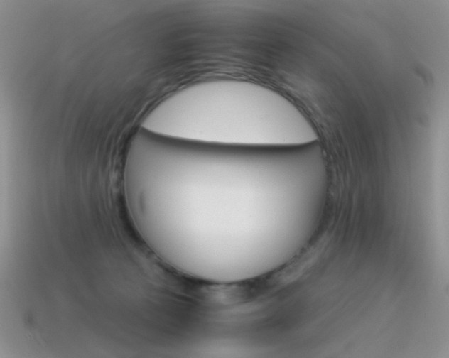 X0000115560273200911061154