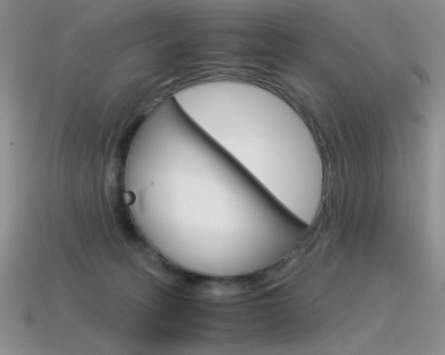 X0000115560275200911061154
