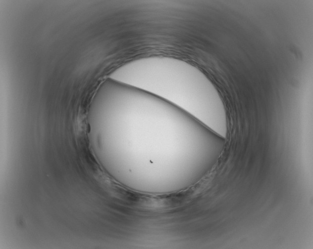 X0000115560276200911061154