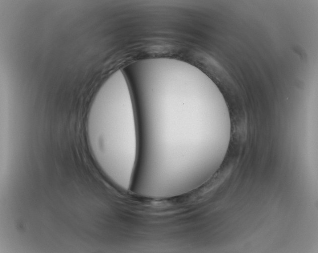X0000115560277200911061154