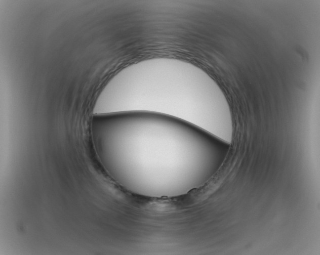 X0000115560280200911061154