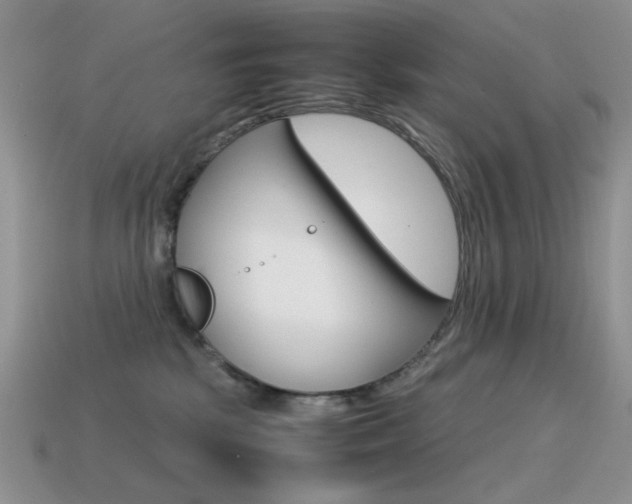 X0000115560281200911061154