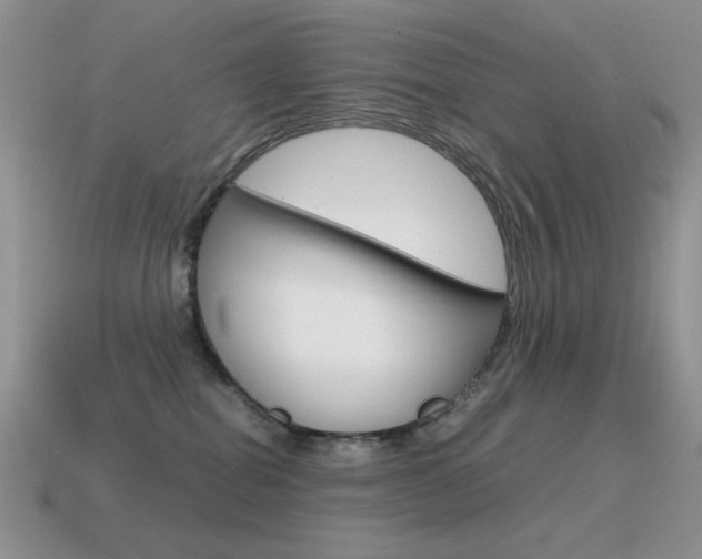 X0000115560282200911061154