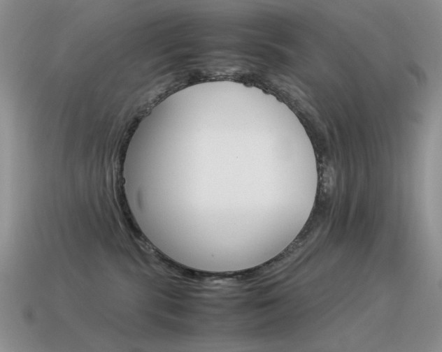 X0000115560283200911061154