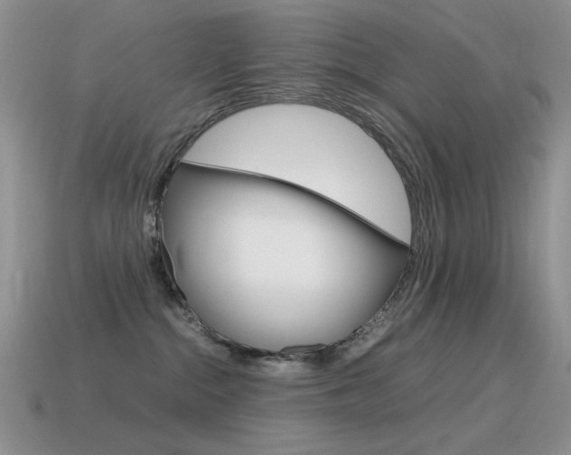 X0000115560284200911061154