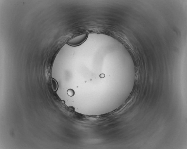 X0000115560285200911061154