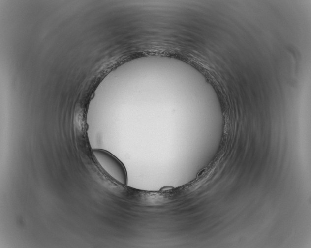 X0000115560287200911061154