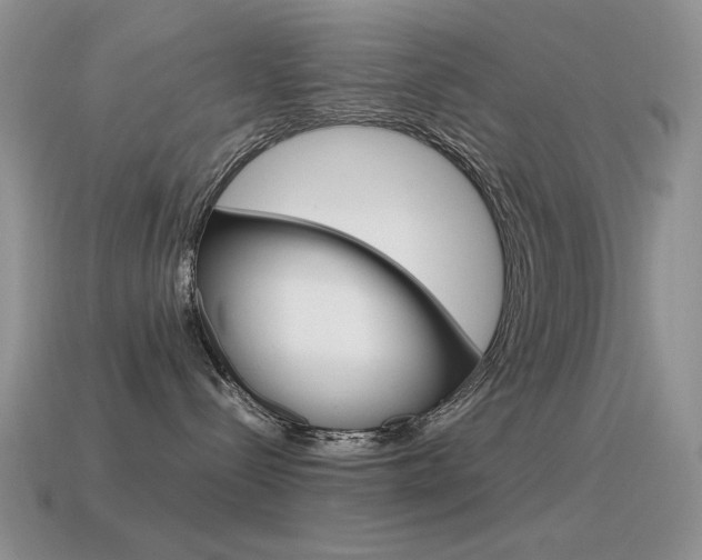 X0000115560288200911061154