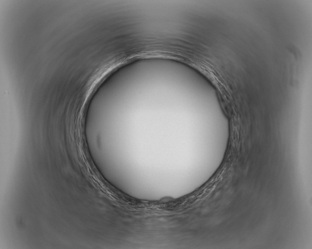 X0000115560289200911061153