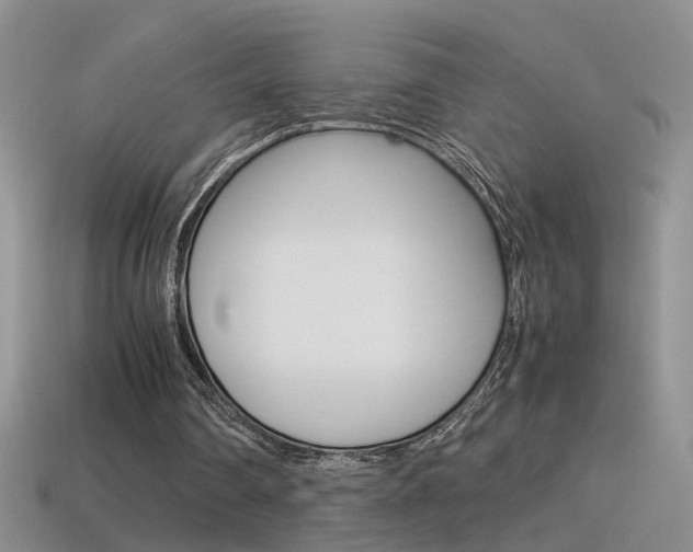 X0000115560290200911061153
