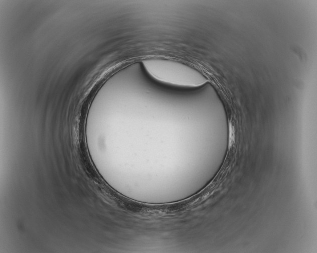 X0000115560291200911061153