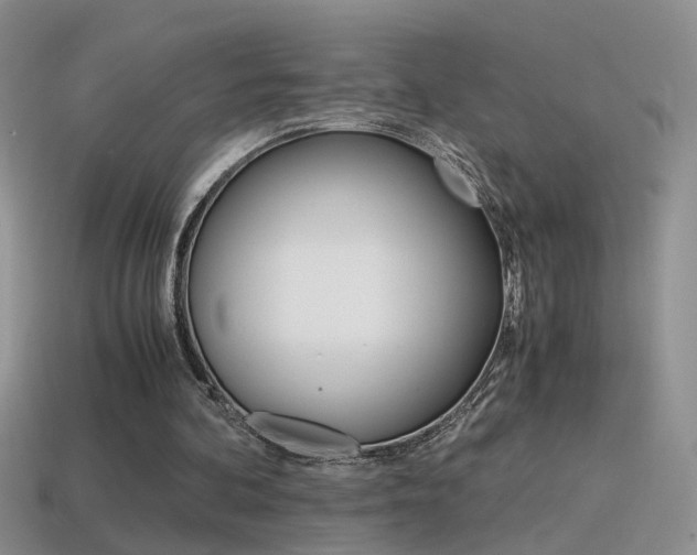 X0000115560292200911061153