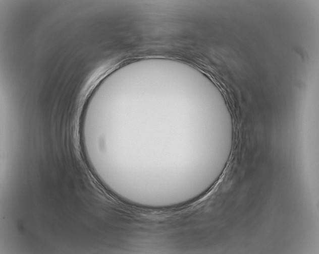 X0000115560293200911061153