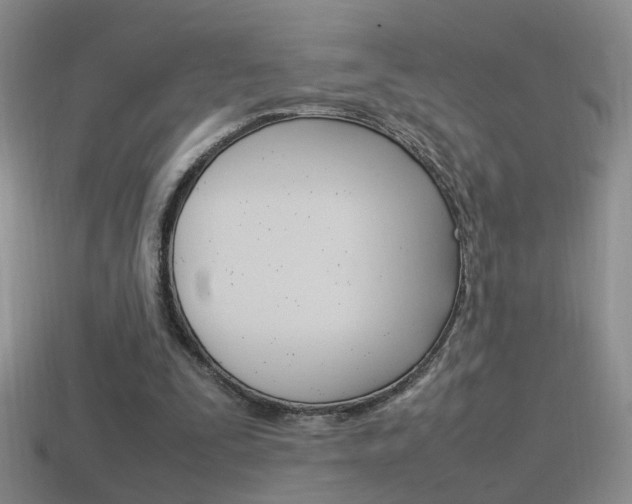 X0000115560295200911061153