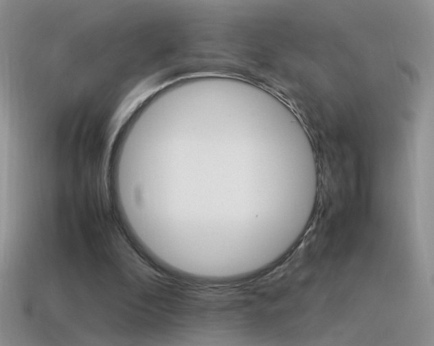 X0000115560296200911061153