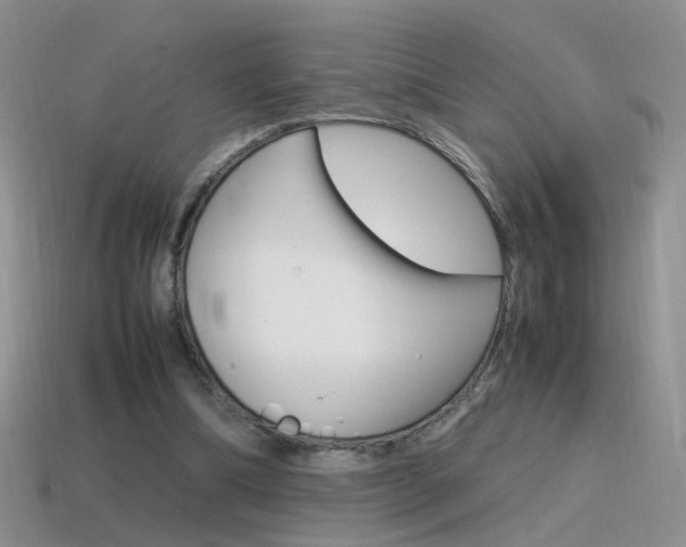 X0000115560298200911061153