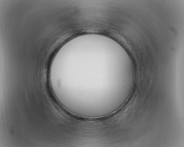 X0000115560299200911061153