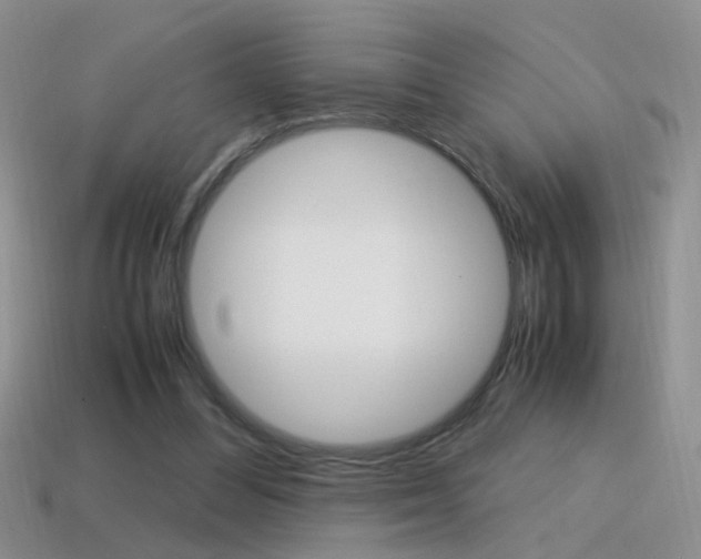 X0000115560300200911061153