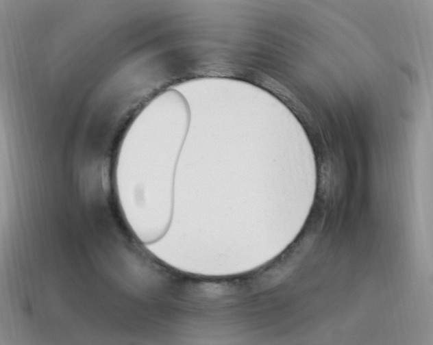 X0000115560302200911061153