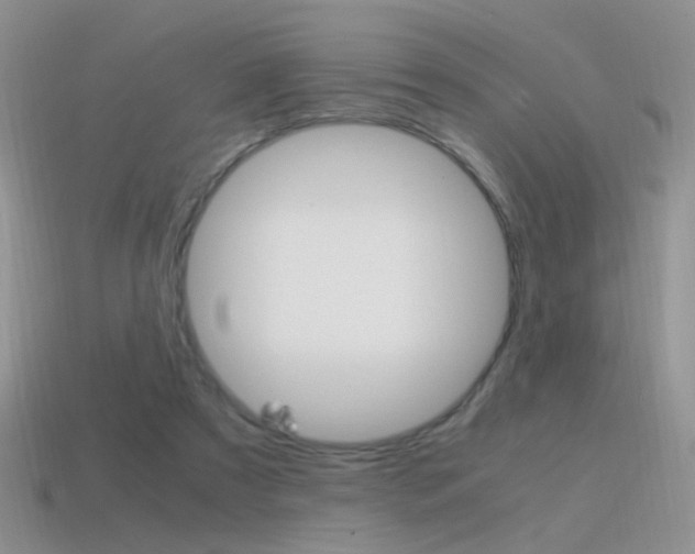 X0000115560305200911061153