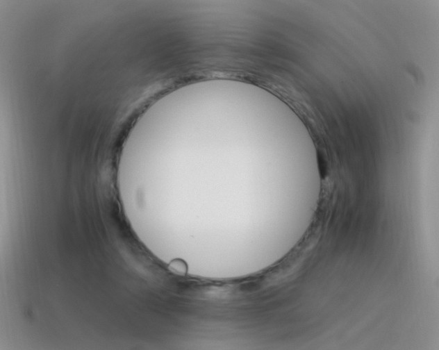 X0000115560306200911061153